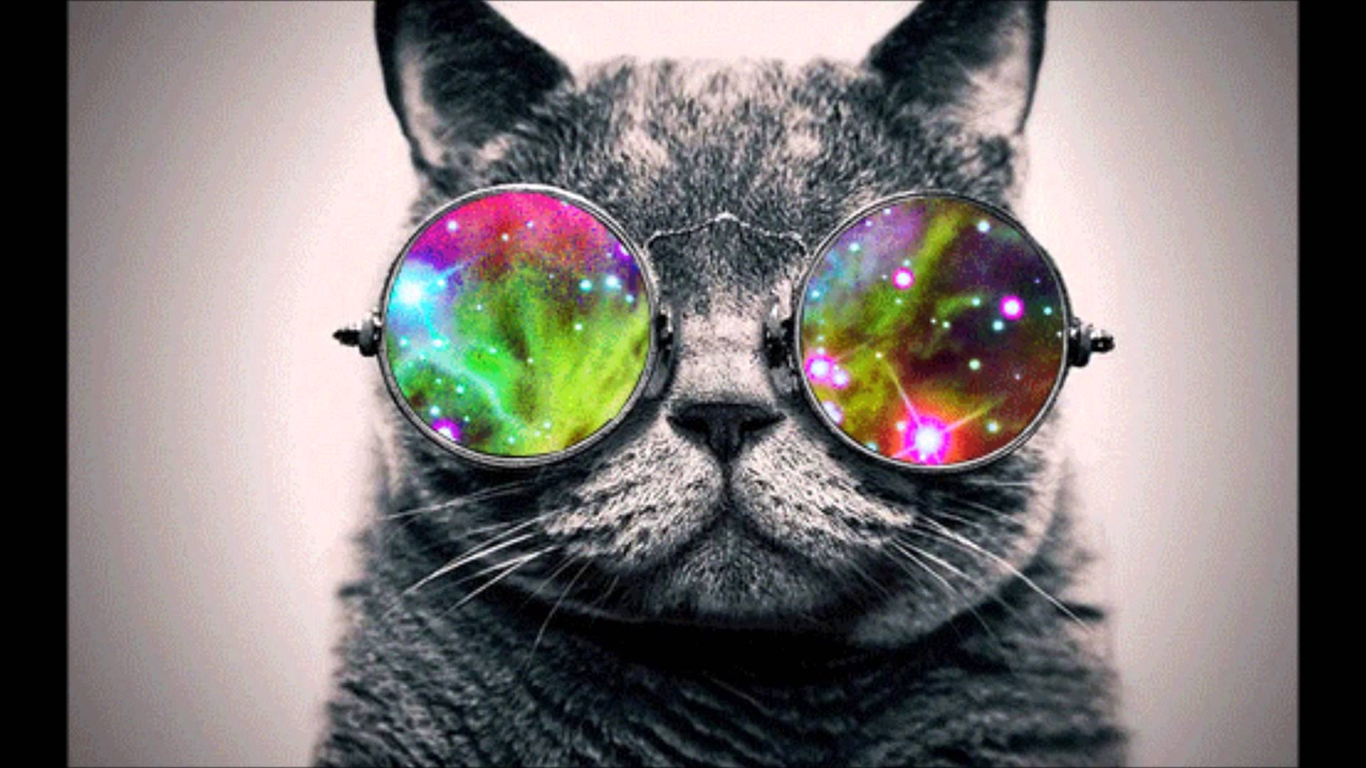 Galaxie Katze, Hintergrund, Kreativ, Fantasie, Bild, 1920x1080 Full HD Desktop