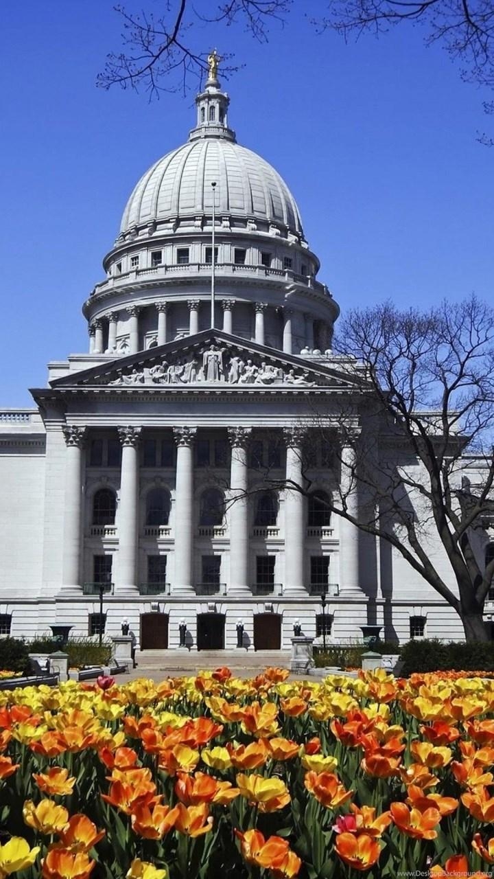 Universität, Wisconsin, Madison, 4K, Hintergrund, 720x1280 HD Handy