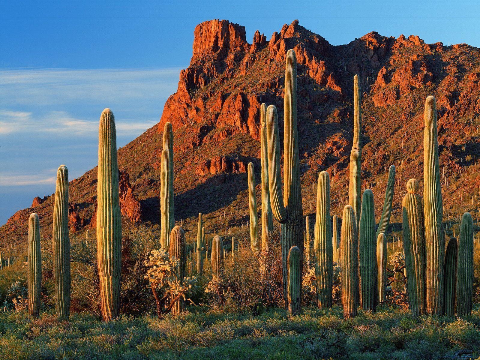 Phoenix, Arizona, Reisen, Hintergrundbild, 1600x1200 HD Desktop