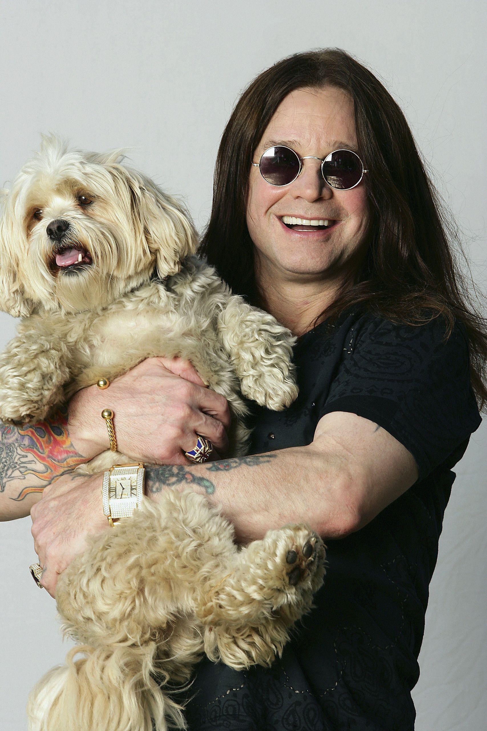 Ozzy Osbourne, hochauflösend, Rock, Konzert, 1710x2560 HD Handy