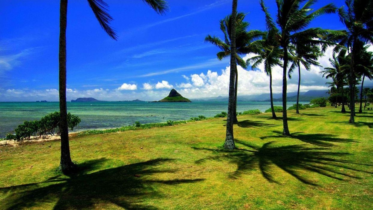 Hawaii, Palmen, Oahu, tropisches Paradies, Pazifik, 1250x700 HD Desktop