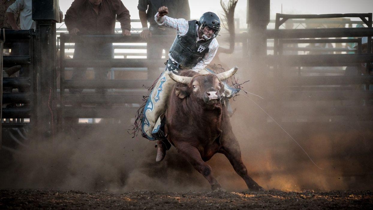 Bullenreiten, Cowboy, Western, Extremsport, Rodeo, 1250x700 HD Desktop