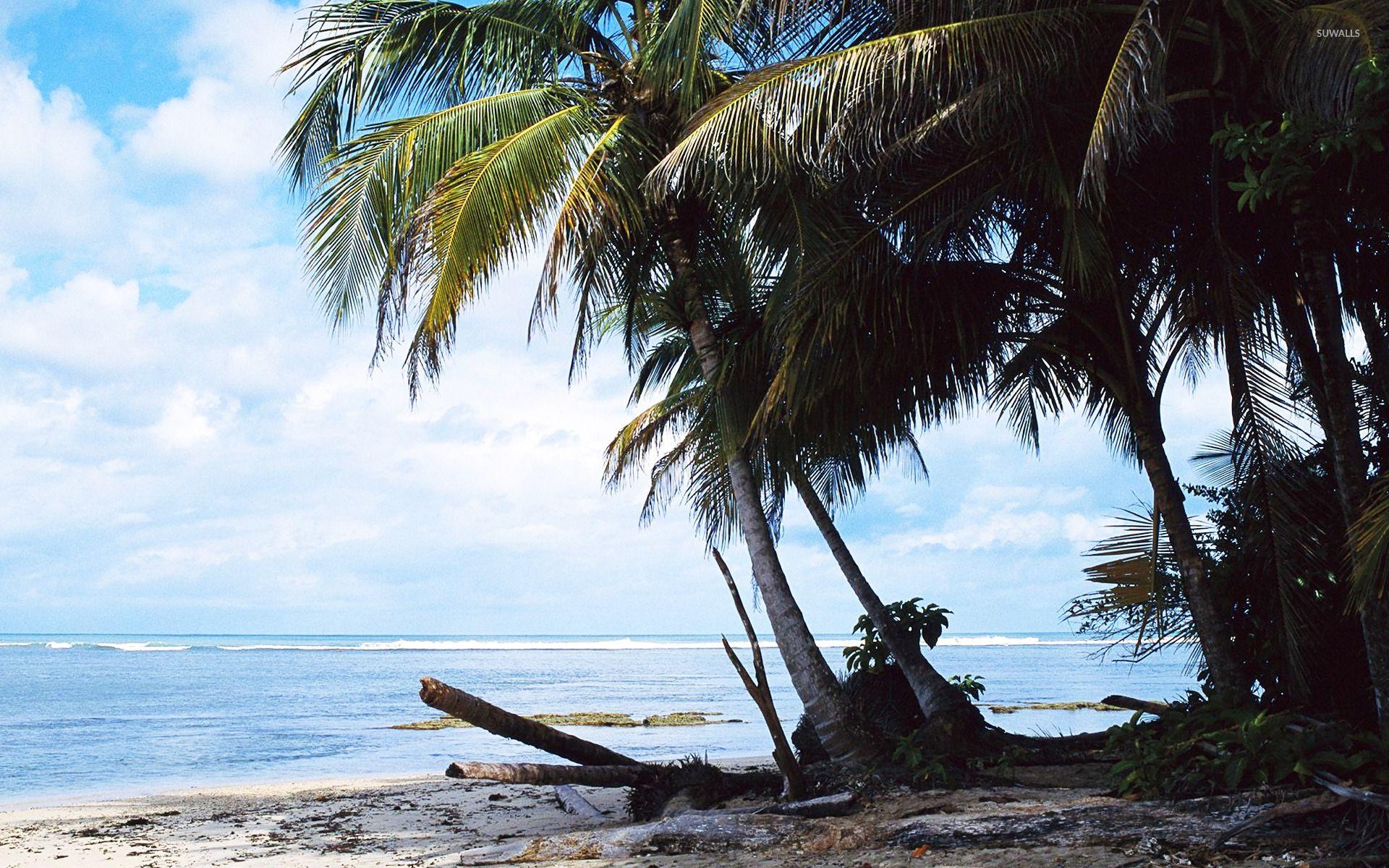 Costa Rica, Abenteuer, Natur, tropischer Hintergrund, Reise, 1920x1200 HD Desktop