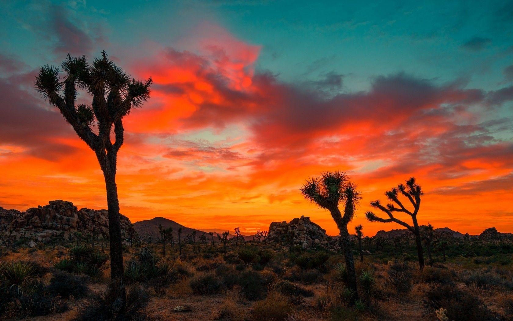 Joshua Tree, Park, Sonnenuntergang, Felsen, Kalifornien, 1680x1050 HD Desktop