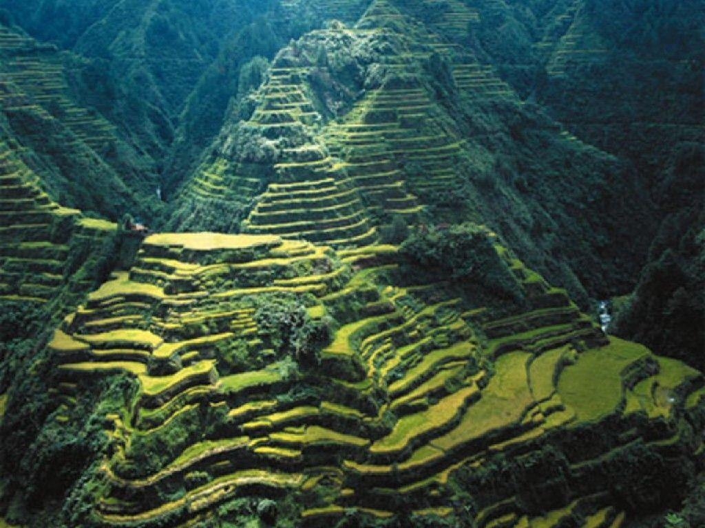 Gras Treppen, Himmel, Banaue, Berge, Grün, 1030x770 HD Desktop