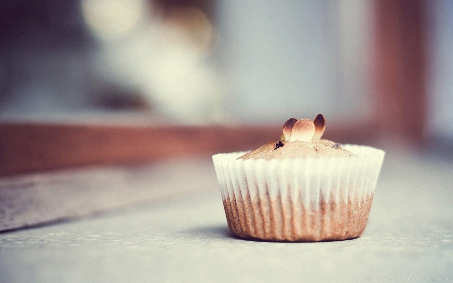 Muffin, Esskastanie, Gebäck, Dessert, Bild, 1920x1200 HD Desktop