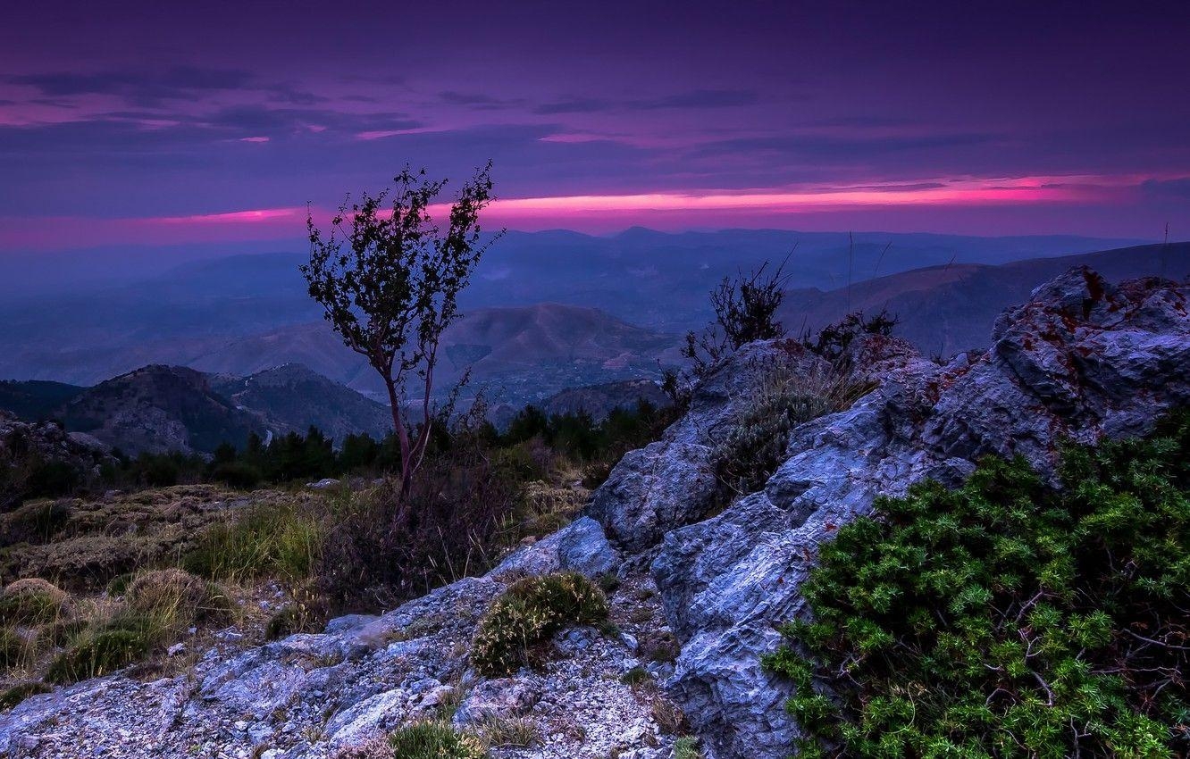 Himmel, Bäume, Sonnenuntergang, Berge, Nevada, 1340x850 HD Desktop