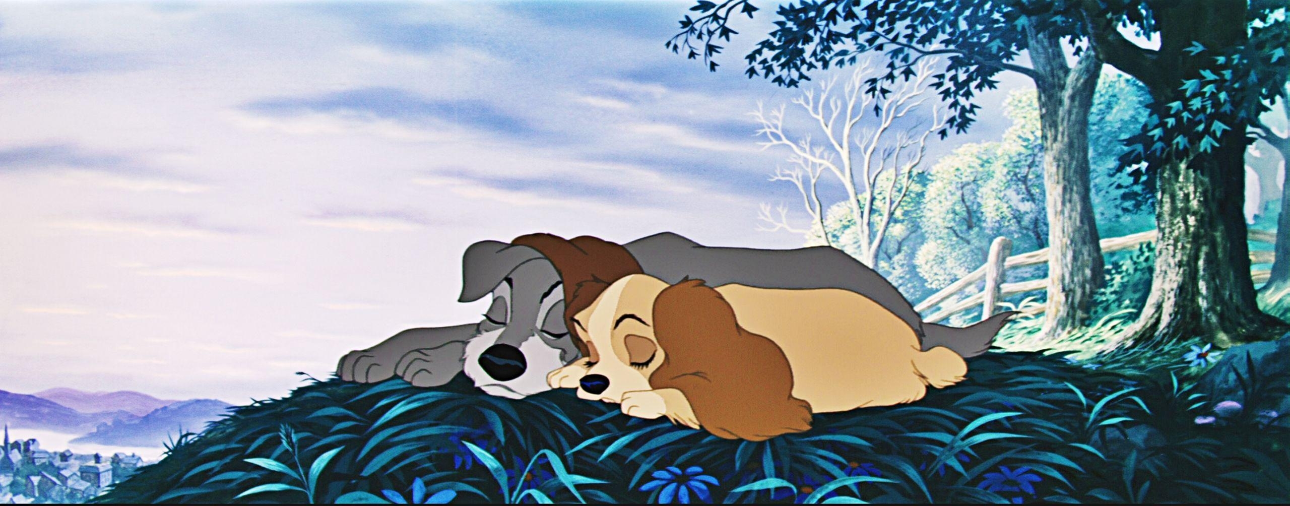 Susi und Strolch, Disney, Cartoon, Bild, Hundepaar, 2560x1010 Dual Screen Desktop