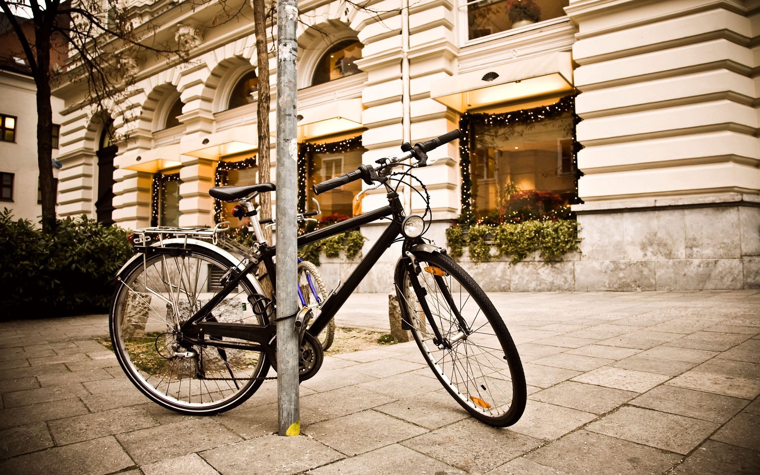 Fahrrad, HD, SFB, Radfahren, Outdoor, 2560x1600 HD Desktop