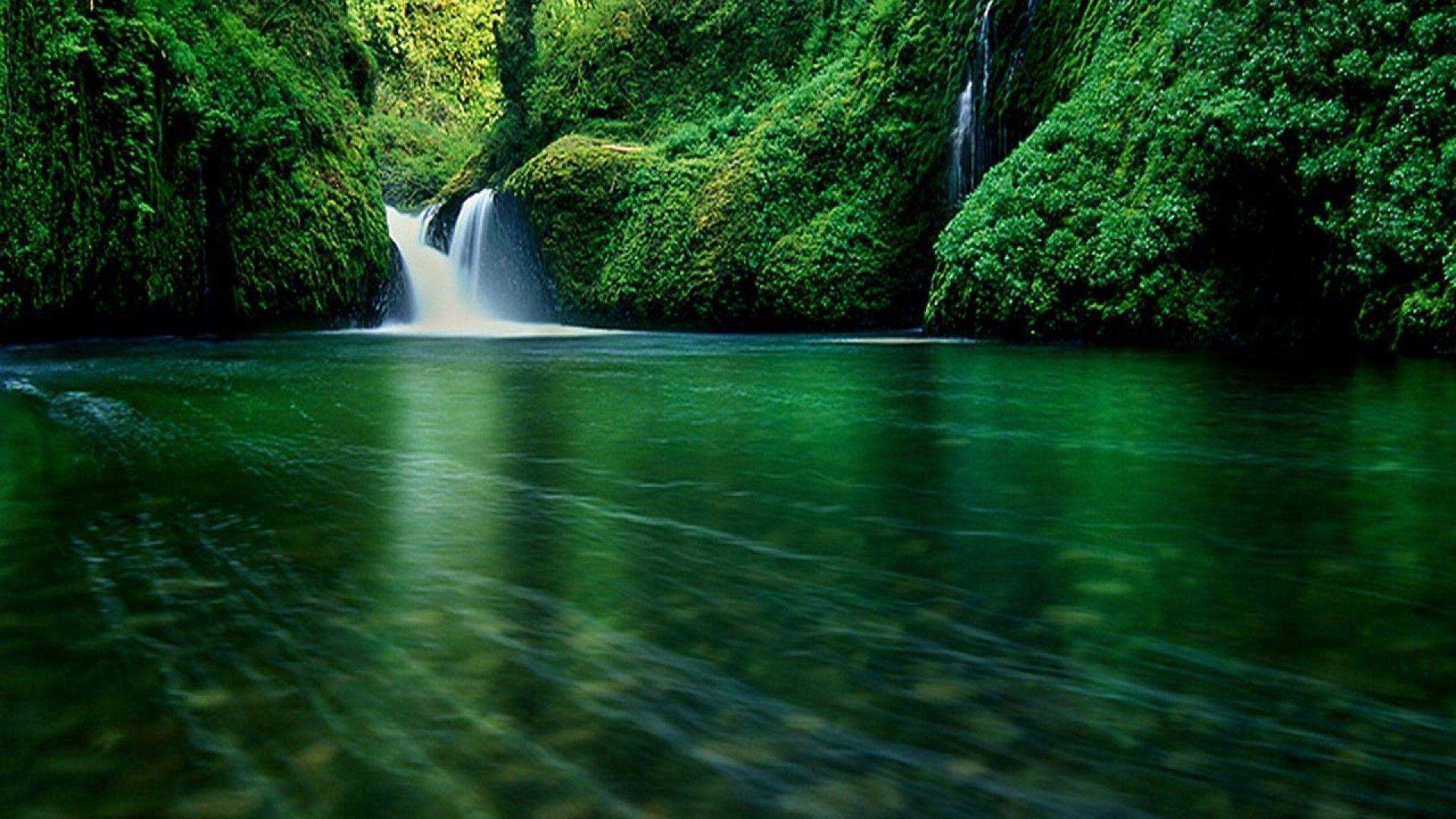 Wald, Wasserfall, Natur, Landschaft, Hintergrund, 1920x1080 Full HD Desktop