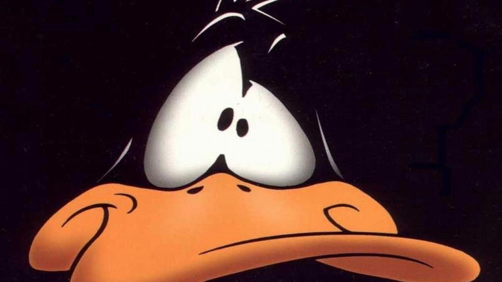 Daffy Duck, Hintergrund, Cartoon, Comic, Looney Tunes, 1920x1080 Full HD Desktop