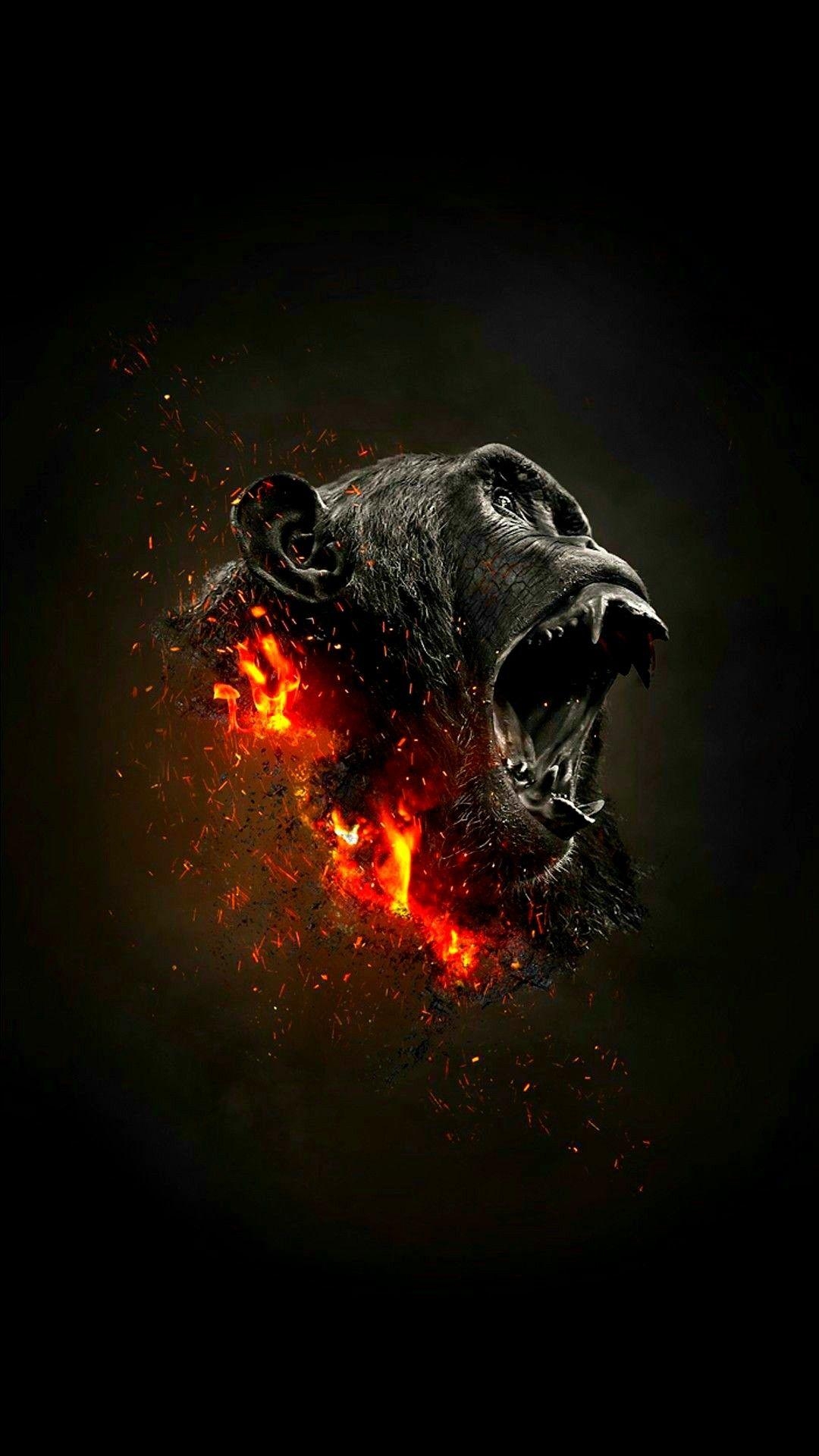 Gorilla, Pinterest, Tattoos, Tiere, Bild, 1080x1920 Full HD Handy