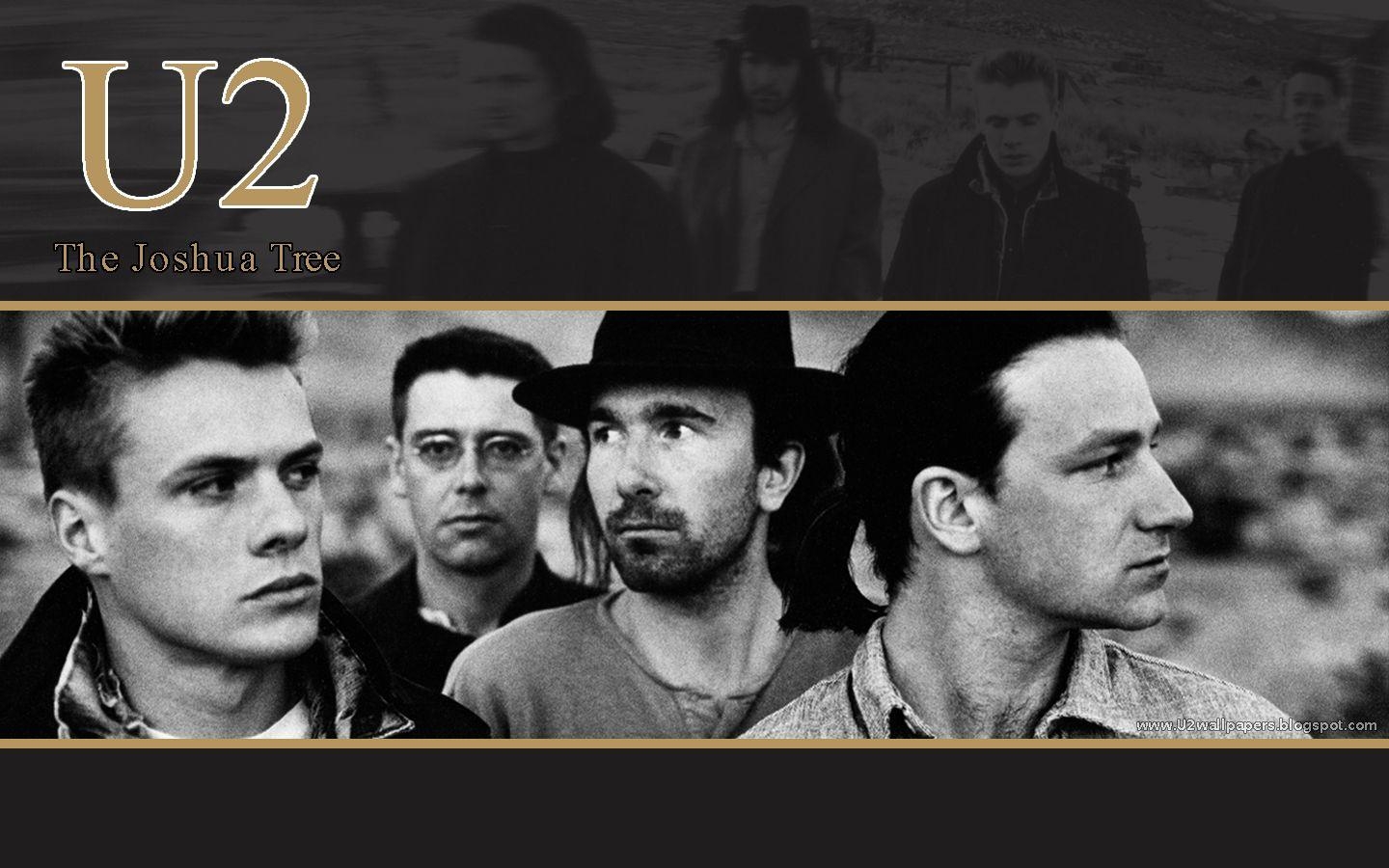 U2, Rock, Gitarren, Melodien, Irische Wurzeln, 1440x900 HD Desktop