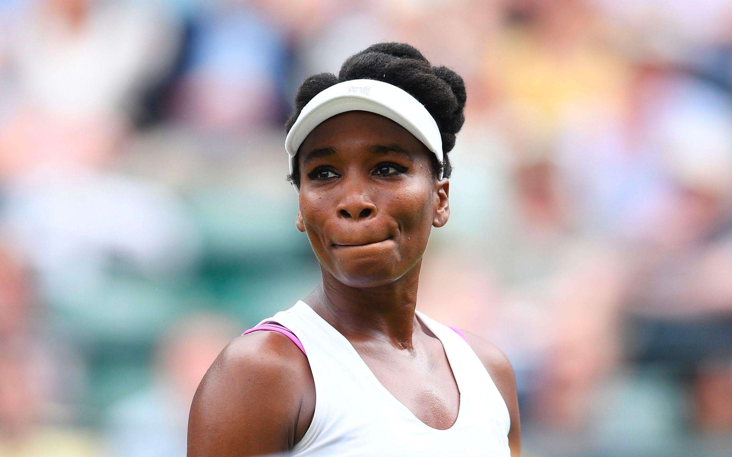 Venus Williams, Tennis, Portrait, Hintergrund, Download, 2560x1600 HD Desktop