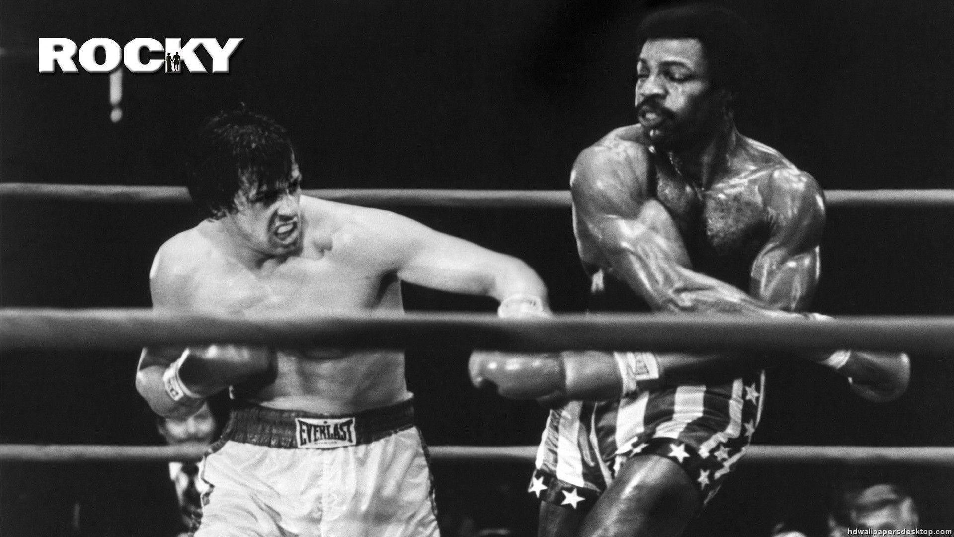 Rocky, Boxen, Film, Stallone, Klassiker, 1920x1080 Full HD Desktop