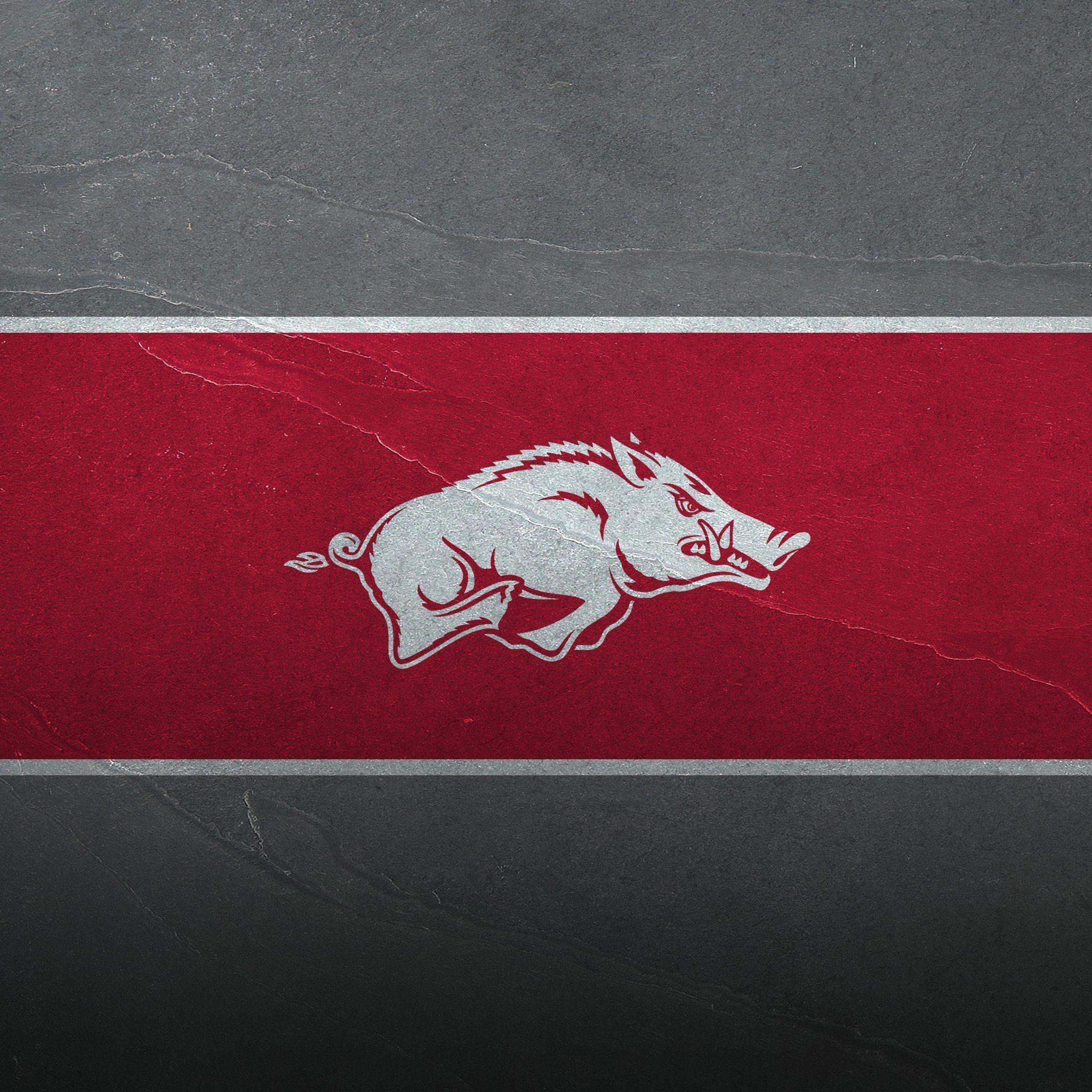 Razorback, Arkansas, iPhone, Sport, Hintergrund, 2050x2050 HD Handy