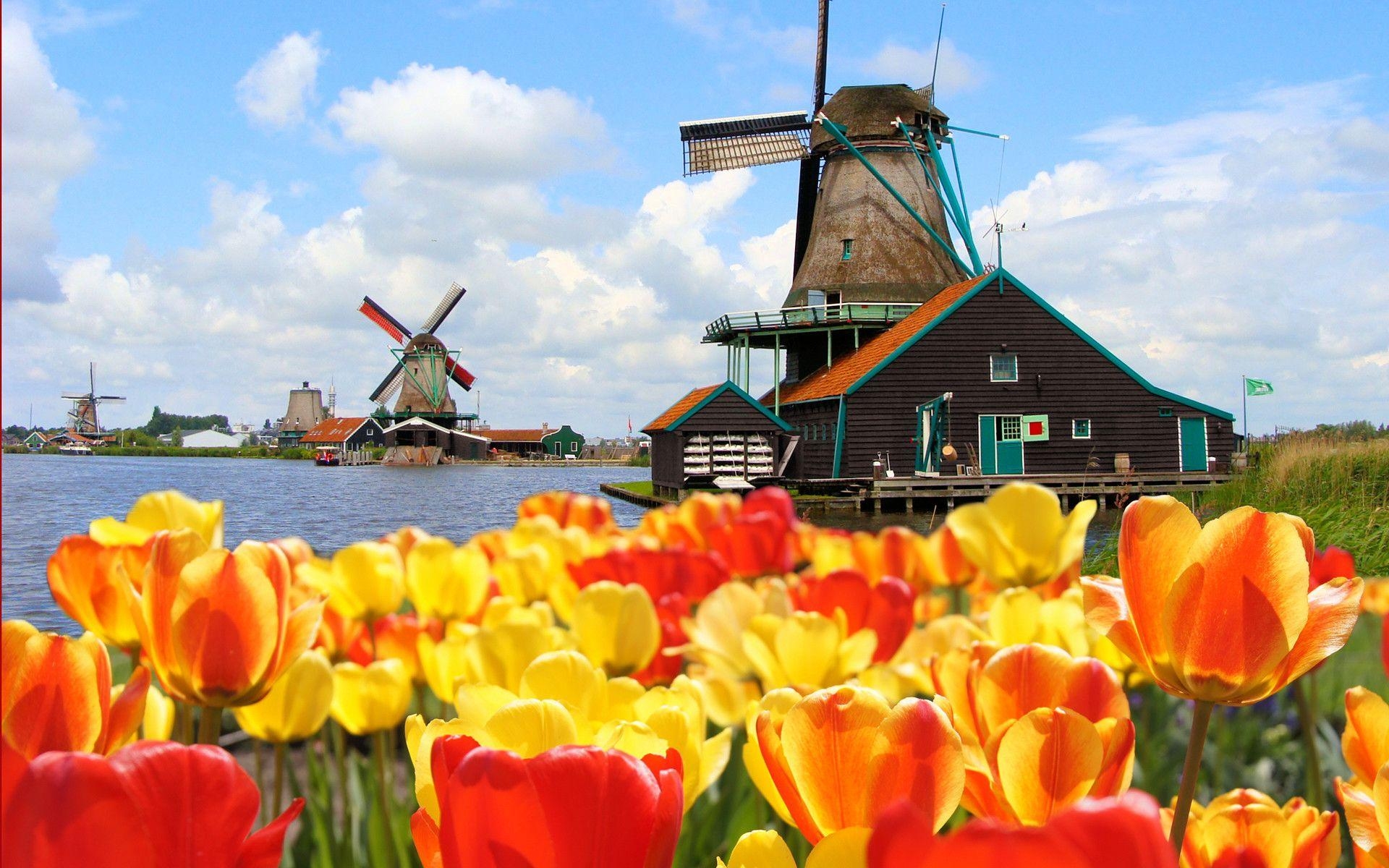 Niederlande, Windmühle, Landschaft, Kultur, Fotografie, 1920x1200 HD Desktop