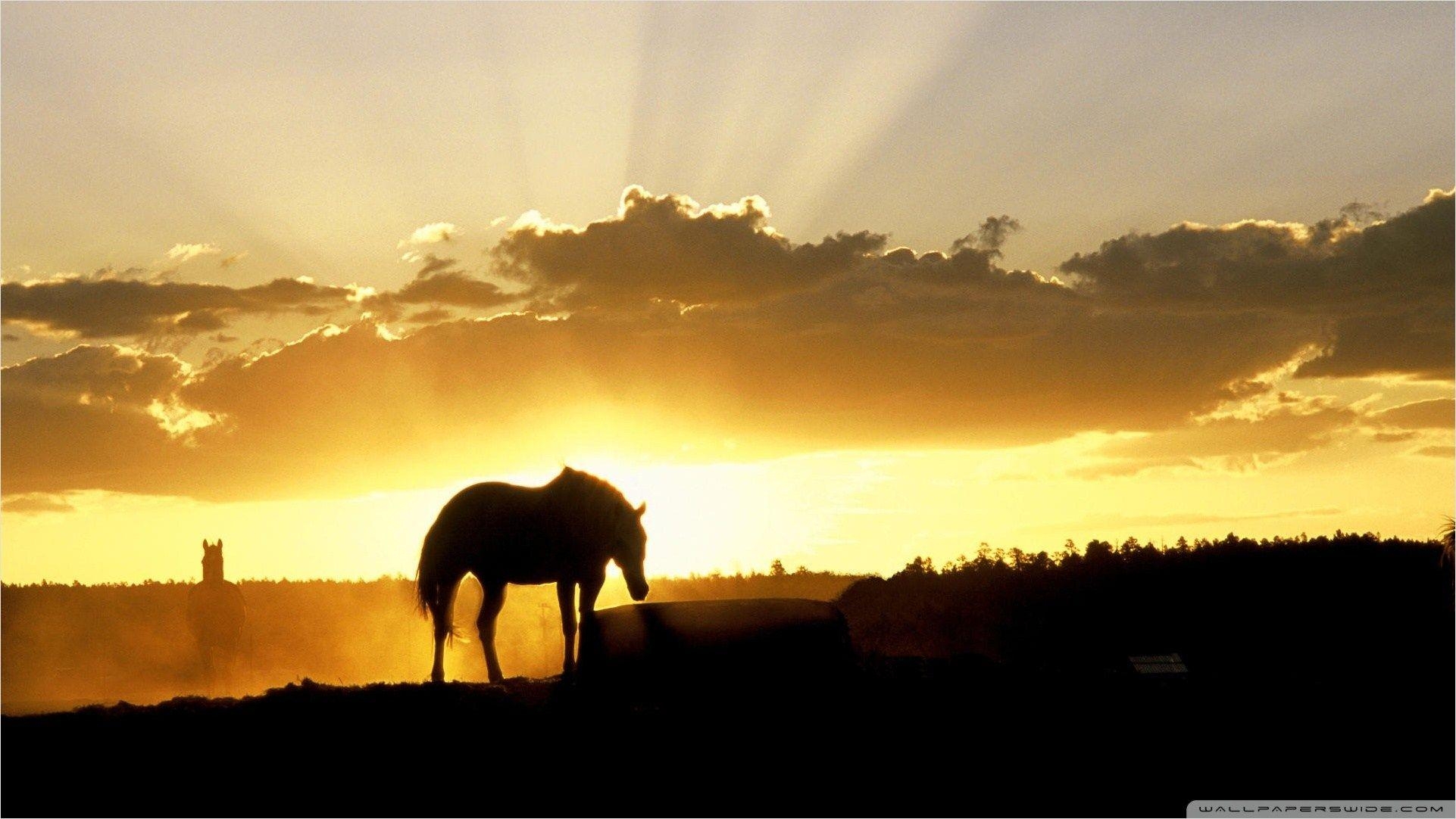 Bauernhof, Sonnenuntergang, 1920x1080, Landschaft, Abend, 1930x1090 HD Desktop