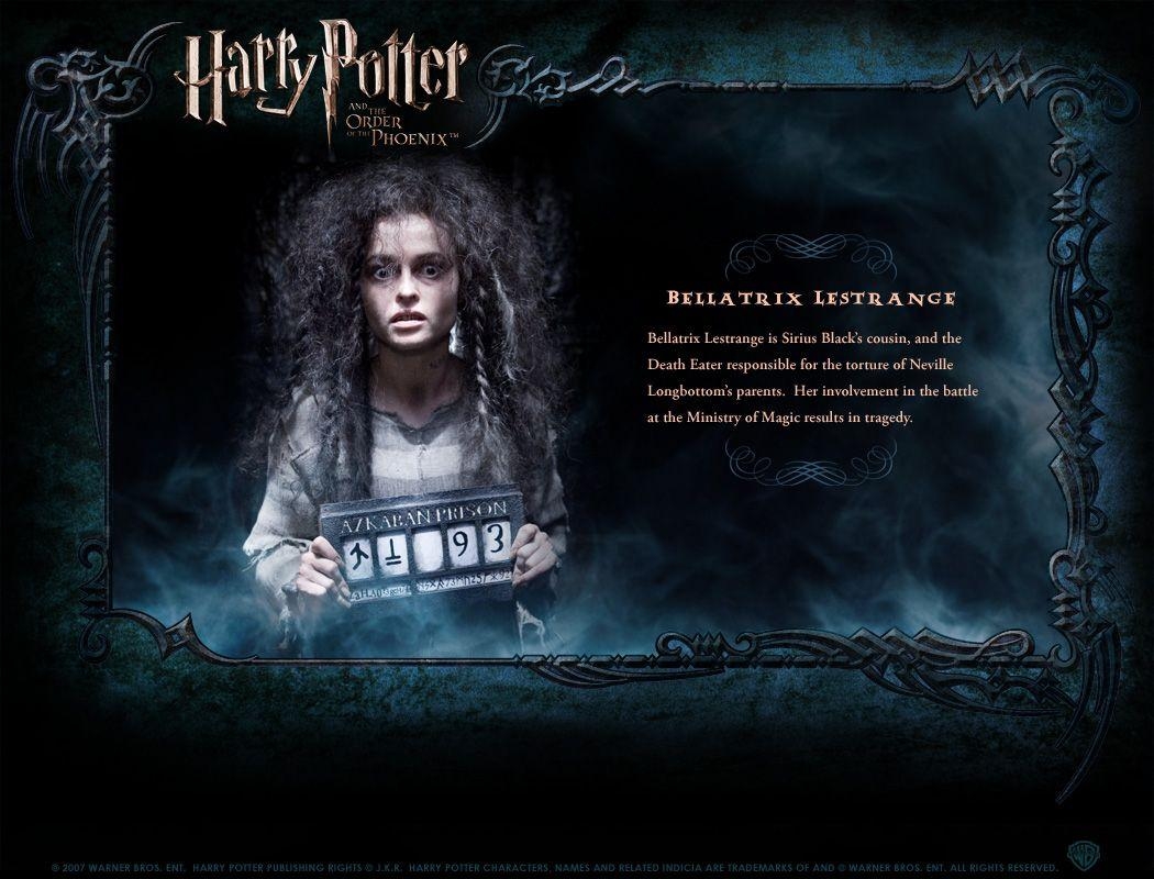 Sirius Black, Bellatrix, Familie, Schwarz, Foto, 1050x800 HD Desktop