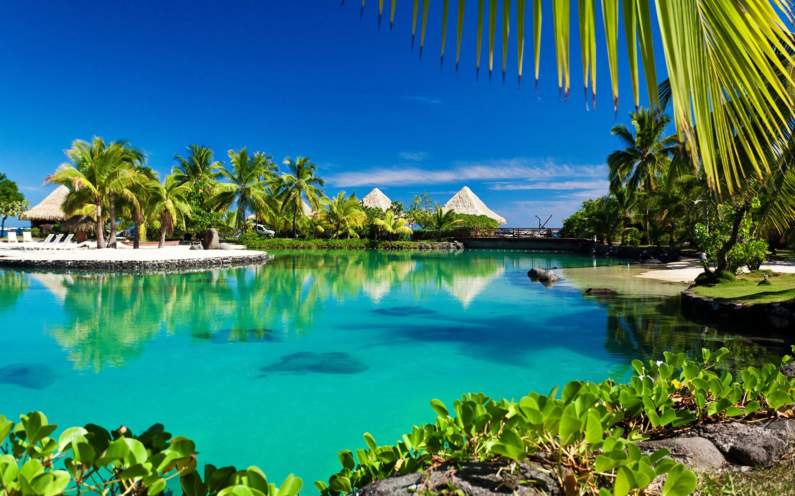 Bora Bora, Französisch-Polynesien, Bungalows, Natur, Palmen, 2560x1600 HD Desktop