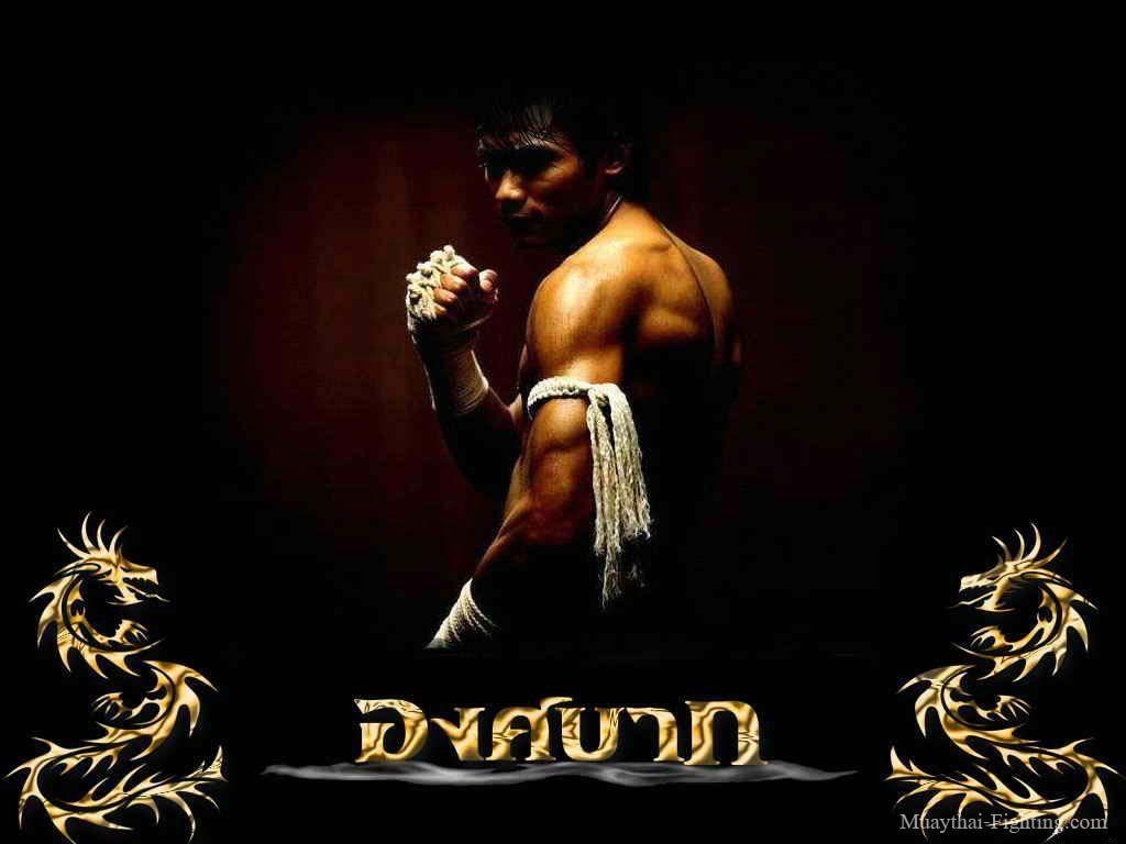 Muay Thai, HD Bild, Kampfsport, Thailand, 1030x770 HD Desktop