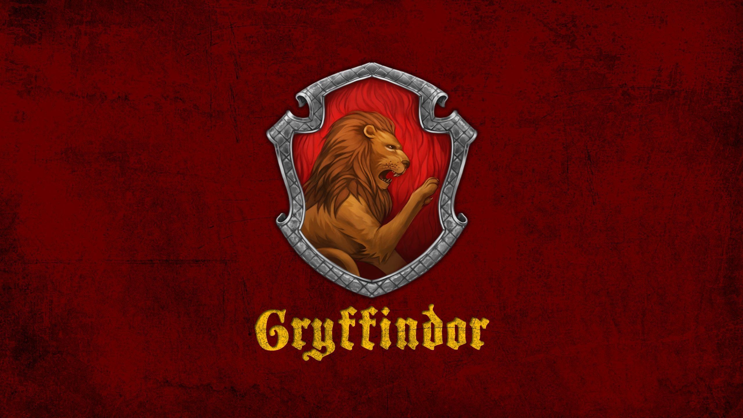 Gryffindor, Harry Potter, Hogwarts, Zauberei, Abenteuer, 2560x1440 HD Desktop