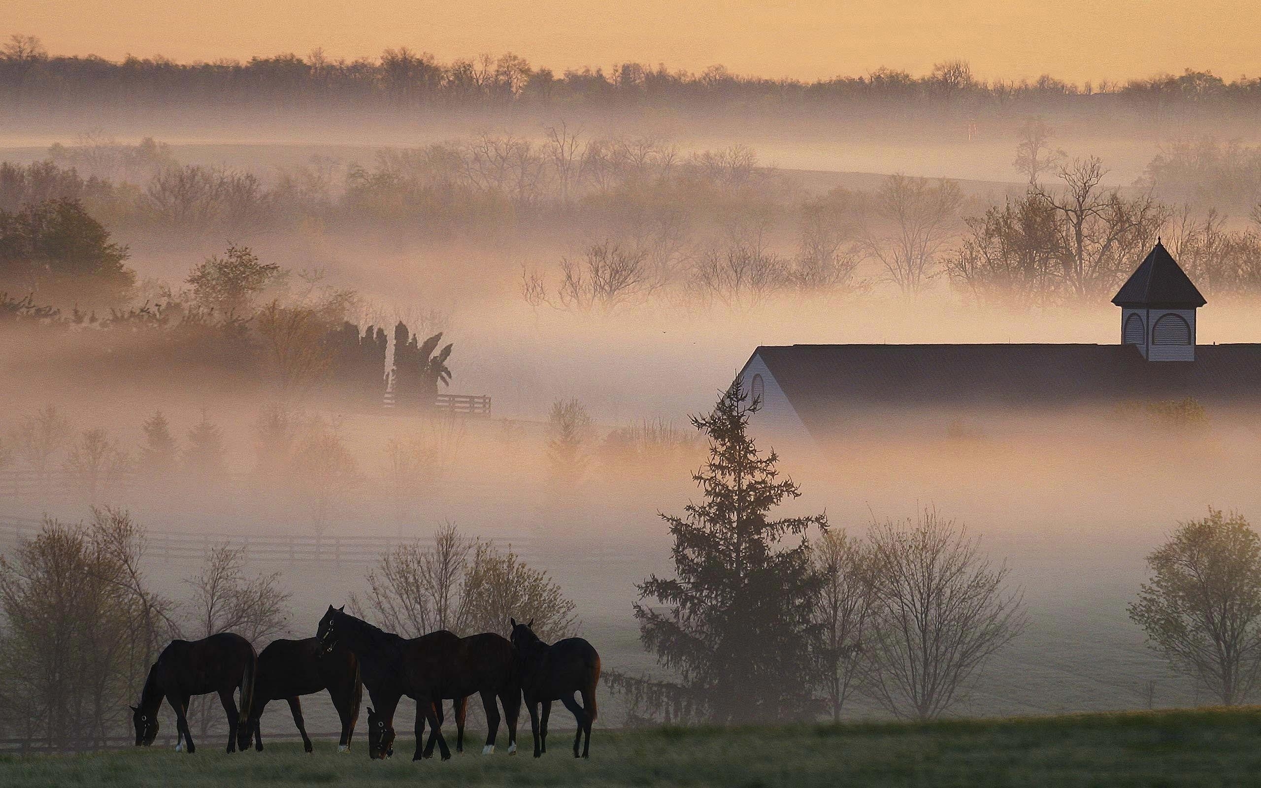 Kentucky, Reisen, Hintergrundbild, USA, Kultur, 2560x1600 HD Desktop