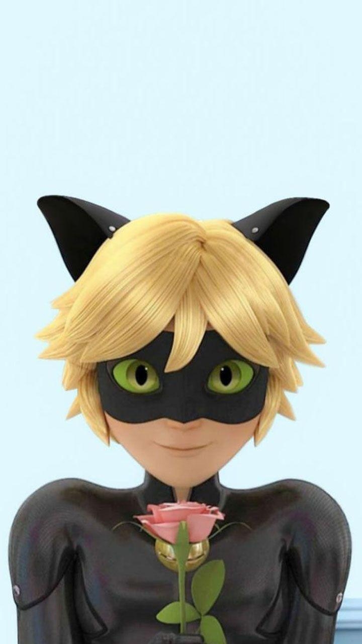 Miraculous, Ladybug, Cat Noir, beste 2020, HD, 720x1280 HD Handy