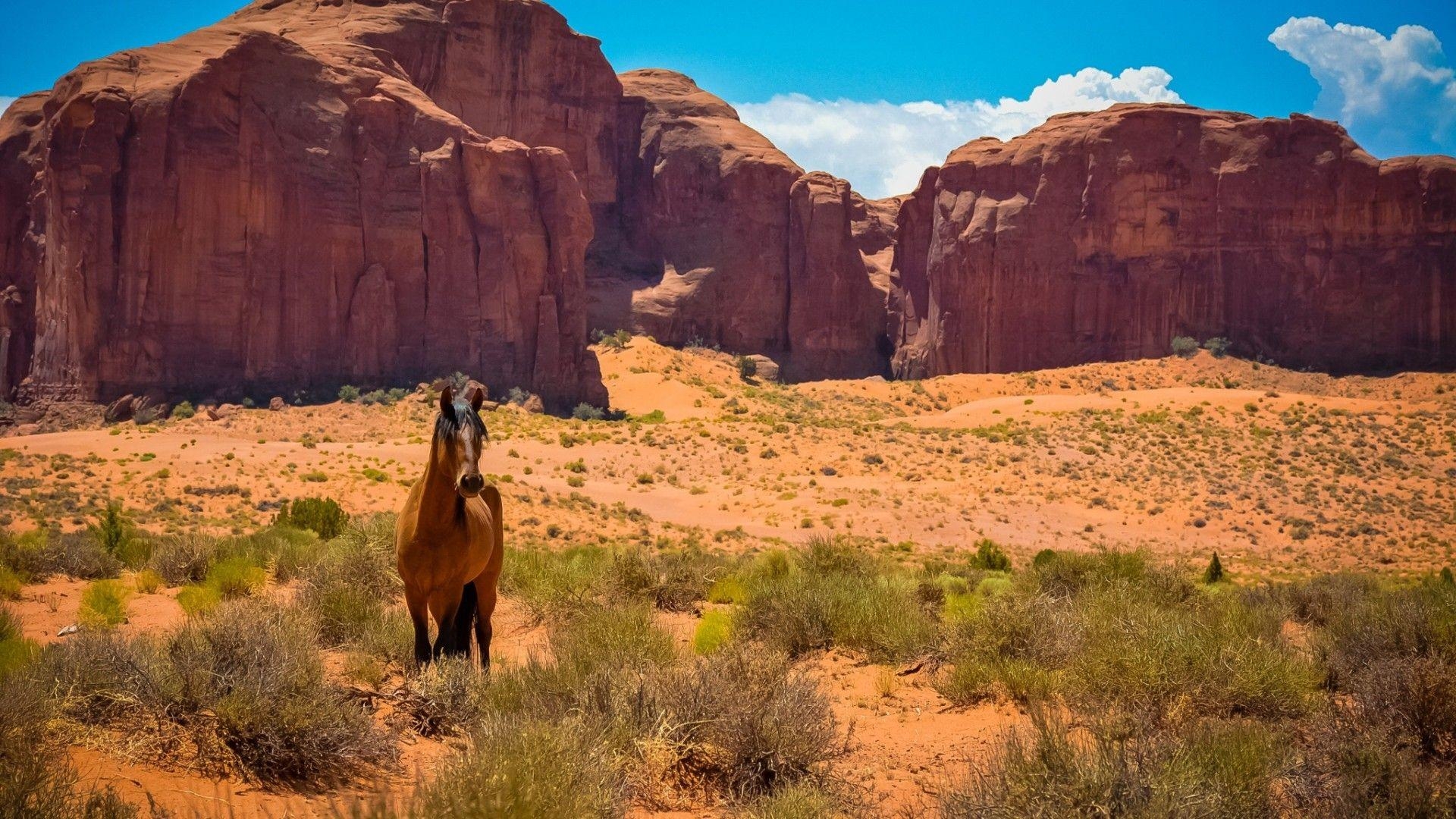 Arizona, Wüste, Naturbild, HD, Hintergrund, 1920x1080 Full HD Desktop