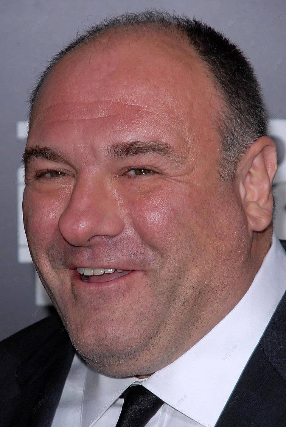 James Gandolfini, Zero Dark, Schauspieler, Film, Premiere, 960x1440 HD Handy