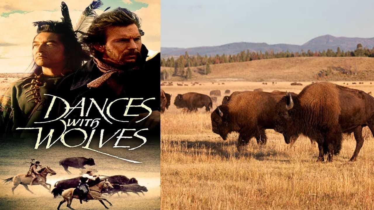 Dances with Wolves, Buffalo Robe, Lyric Video, Musik, Film, 1280x720 HD Desktop