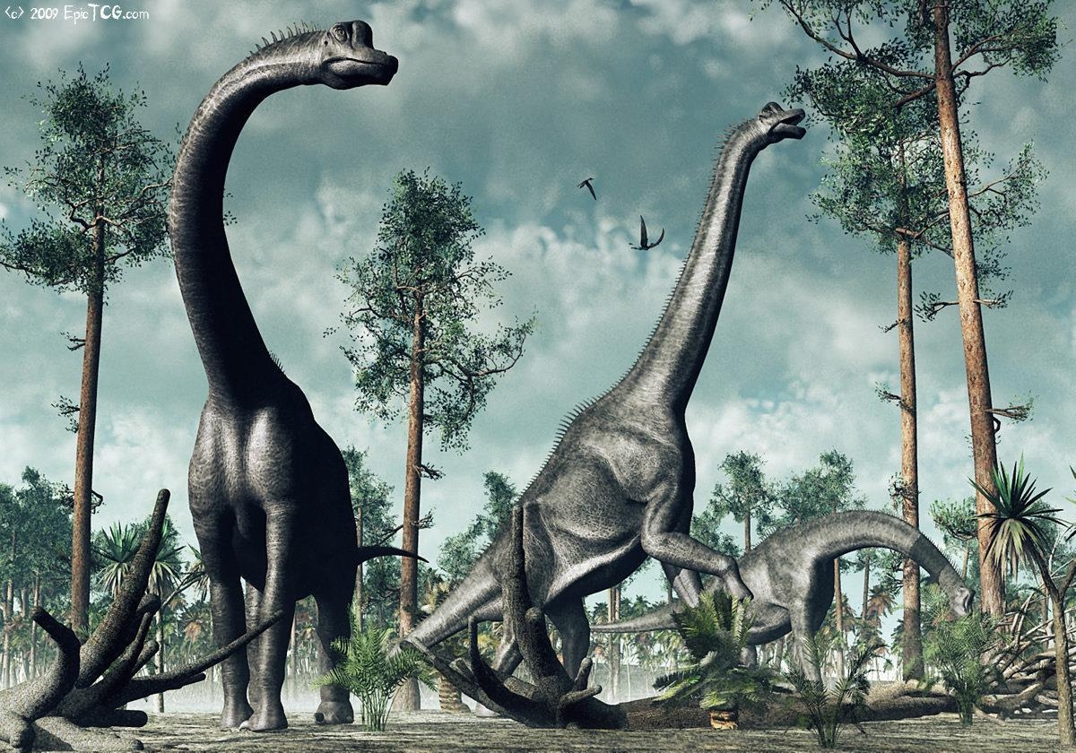 Brachiosaurus, Saurier, Dinosaurier, Prähistorisch, Gigant, 1200x840 HD Desktop