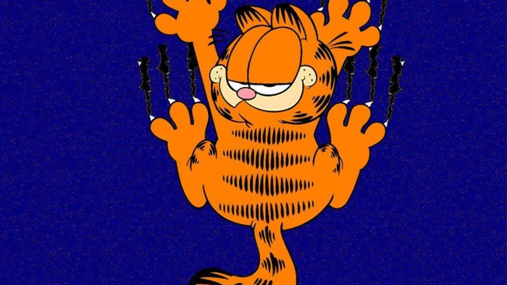 Garfield, HD, Comic, Cartoon, Hintergrund, 1920x1080 Full HD Desktop