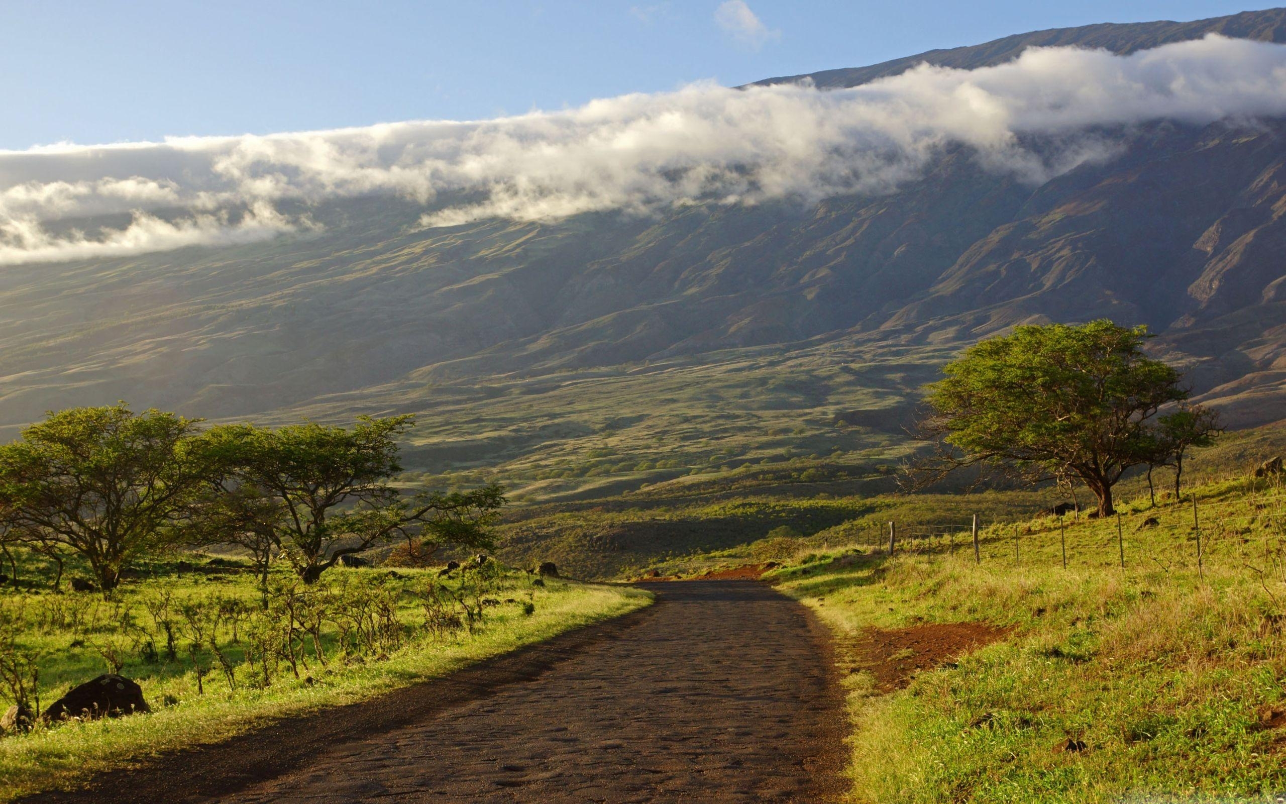 Piilani Highway, Maui, Hawaii, MacBook, Hintergrund, 2560x1600 HD Desktop