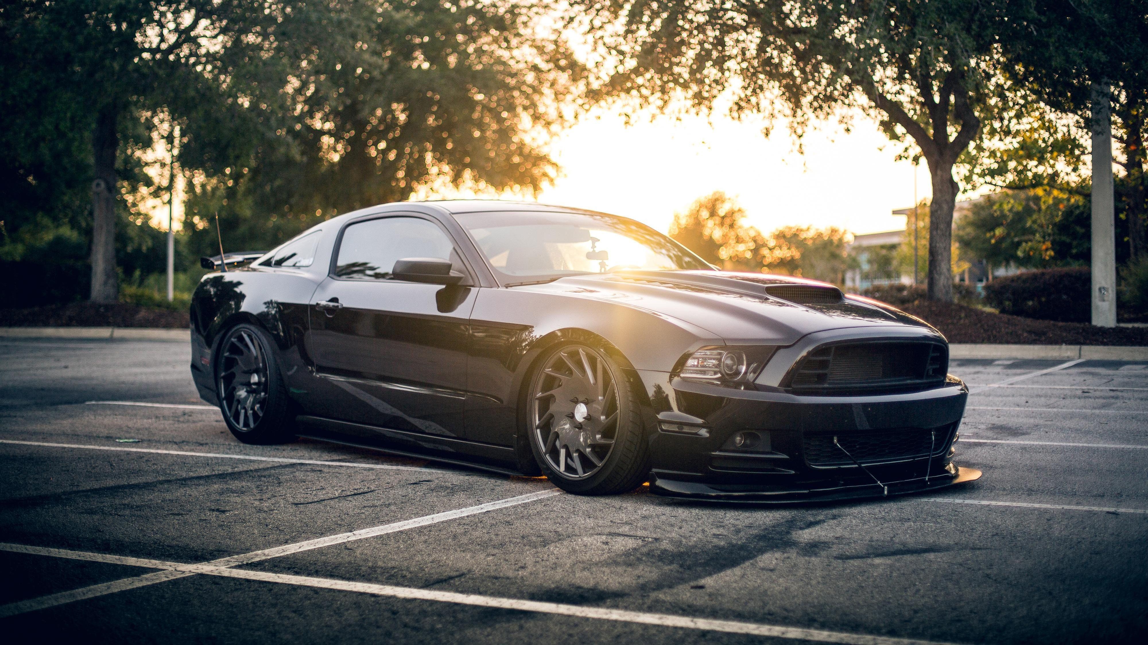 Ford Mustang, Shelby, Schwarz, Auto, 4K, 4000x2250 4K Desktop