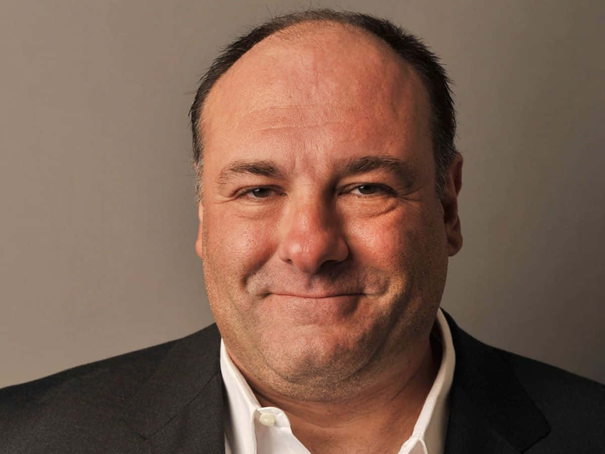 James Gandolfini, Hintergrund, Schauspielkarriere, Filmikone, Bild, 1200x900 HD Desktop