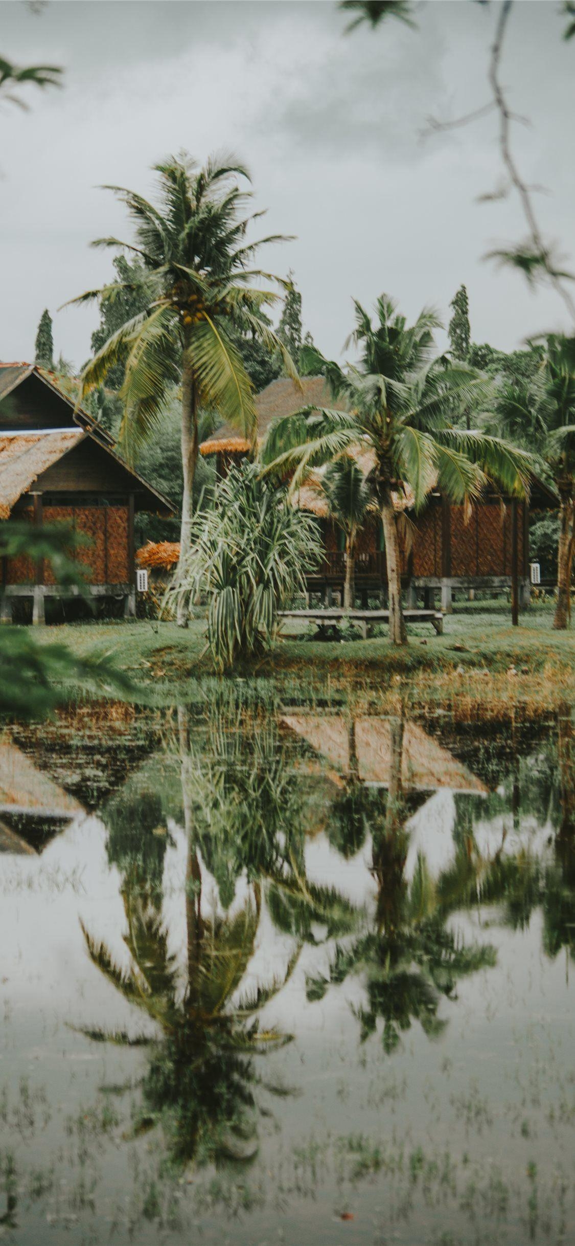 Langkawi, Malaysia, iPhone X, kostenlos, Download, 1130x2440 HD Handy