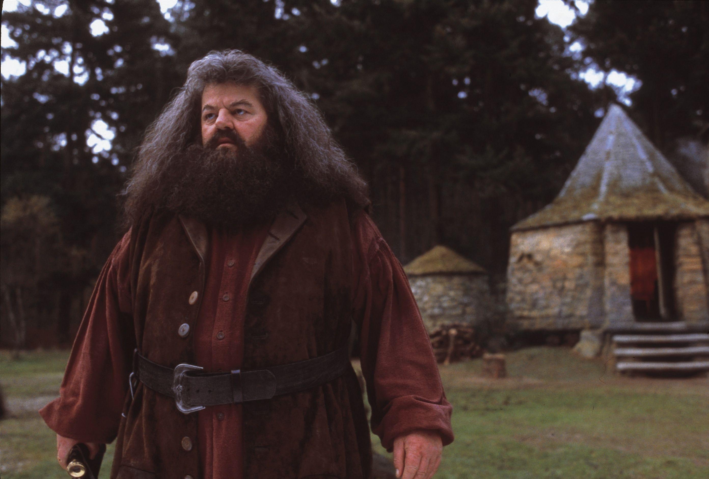 Rubeus Hagrid, Hogwarts, Filme, Hintergrund, Zauberer, 2790x1890 HD Desktop