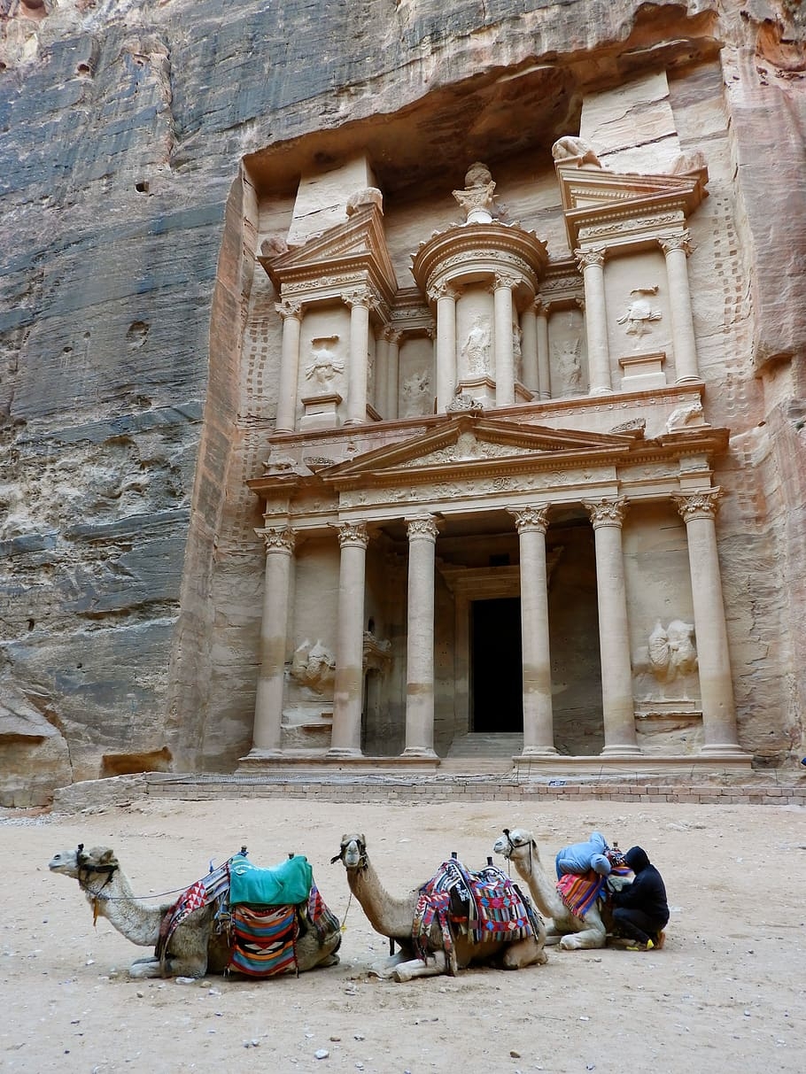 Petra Jordan, Kamel, Archäologie, UNESCO, 910x1220 HD Handy