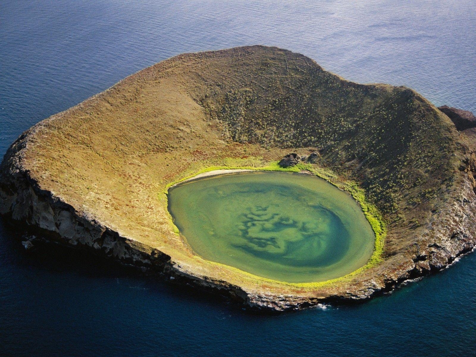 Galapagos Inseln, Blume, Hintergrund, Isabela, Ozean, 1600x1200 HD Desktop