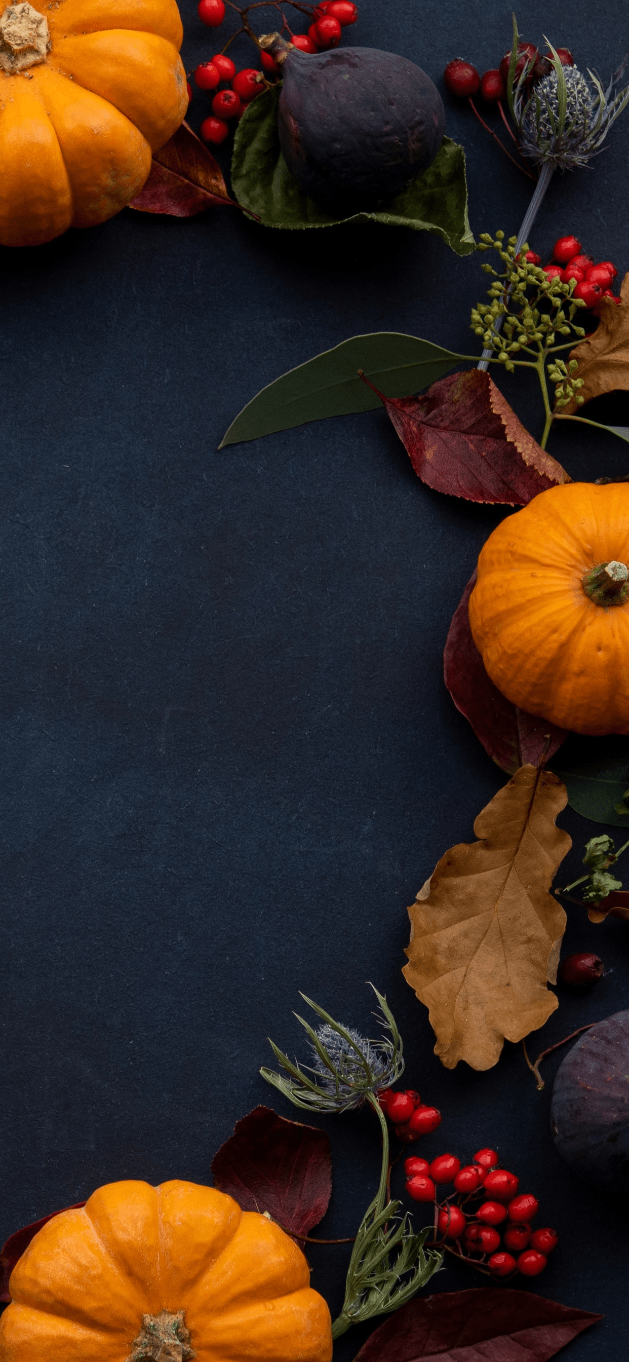 Thanksgiving, iPhone, Hintergrund, Feiertag, Design, 1250x2690 HD Handy