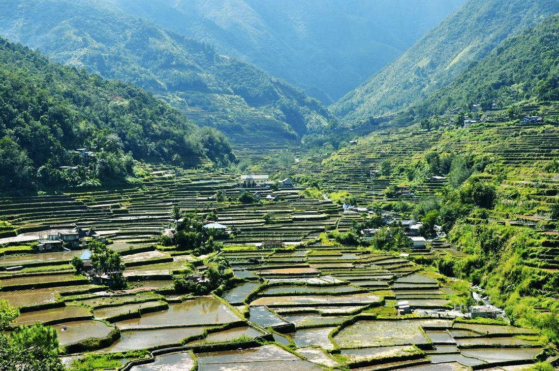 Älteste Reisterrassen, Welt, Banaue, Kulturerbe, Philippinen, 1100x740 HD Desktop