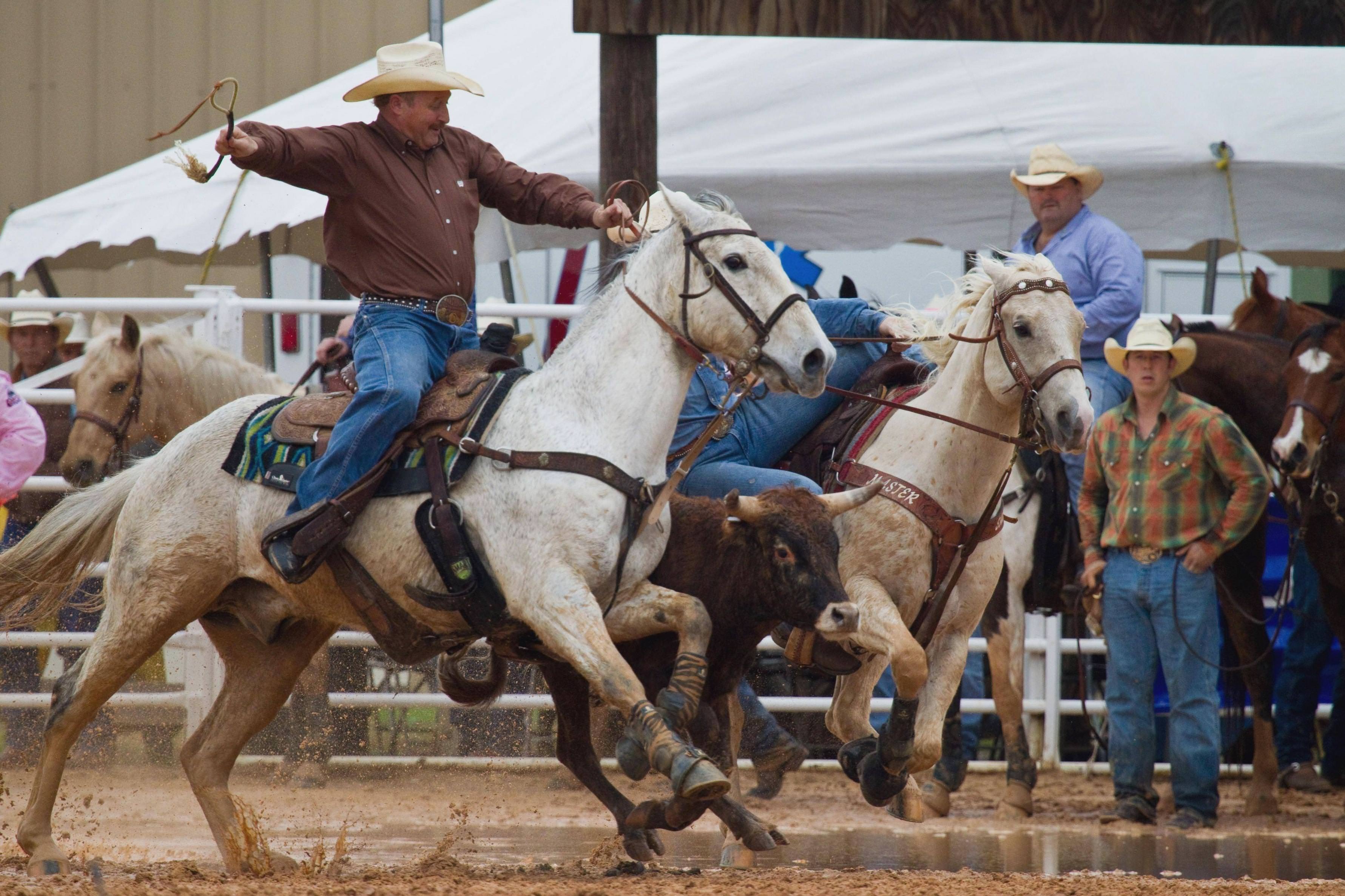 Rodeo, HD, 4453x2968, Sport, Download, 3570x2380 4K Desktop