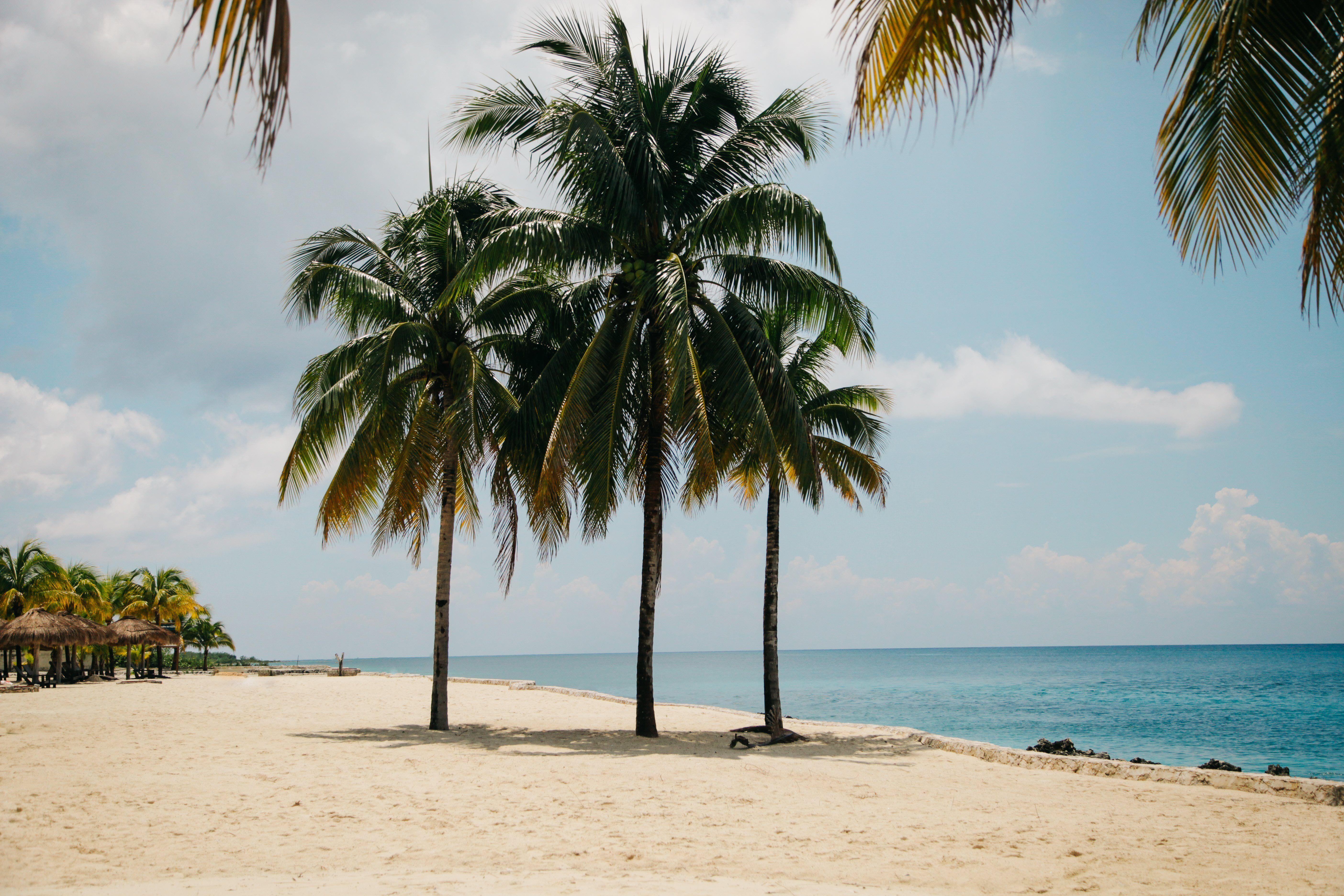 Cozumel, 4K, Desktop, Mobile, kostenlos, 5620x3750 4K Desktop