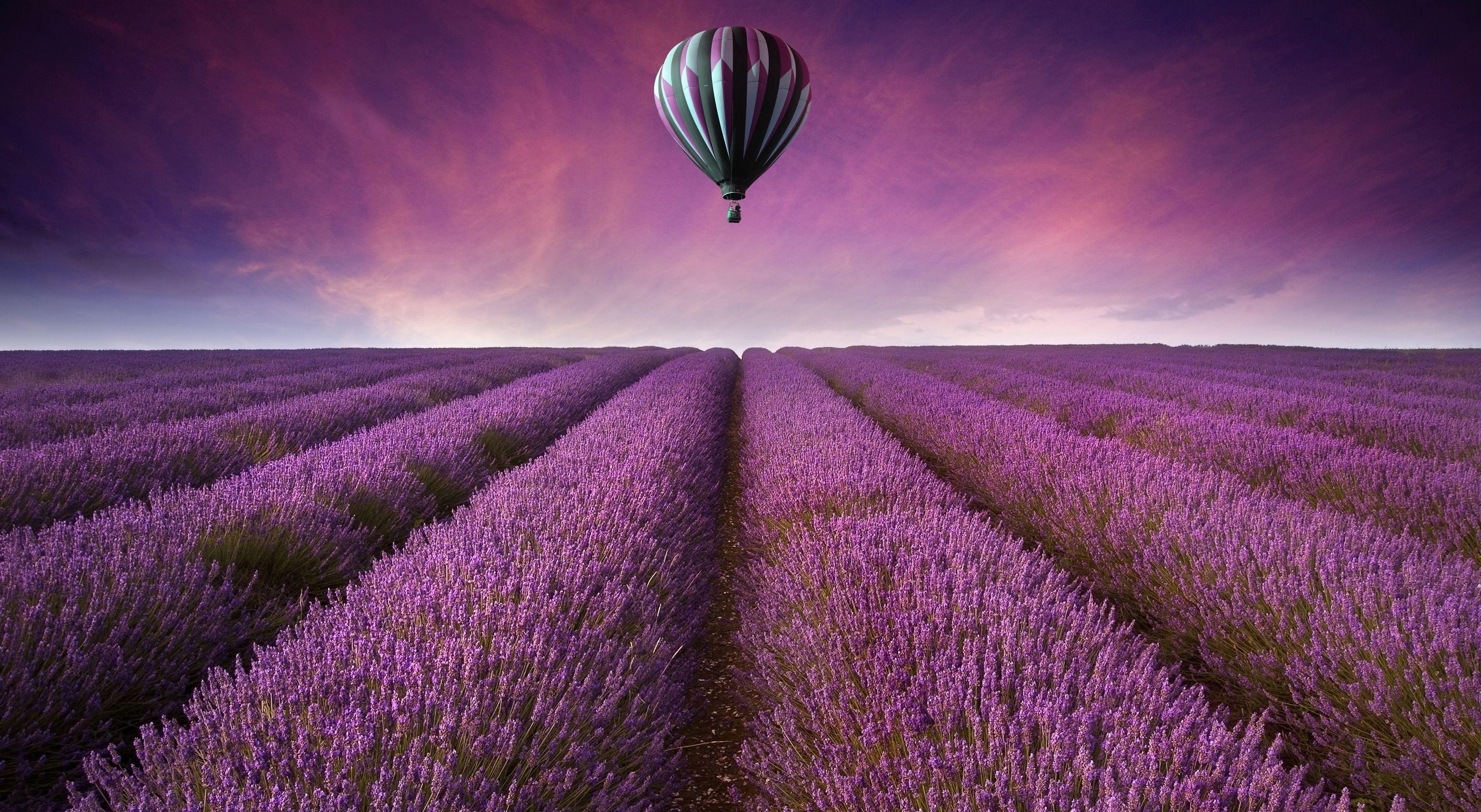 Lavendel, Natur, HD Bild, Hintergrund, Blüten, 3500x1920 HD Desktop