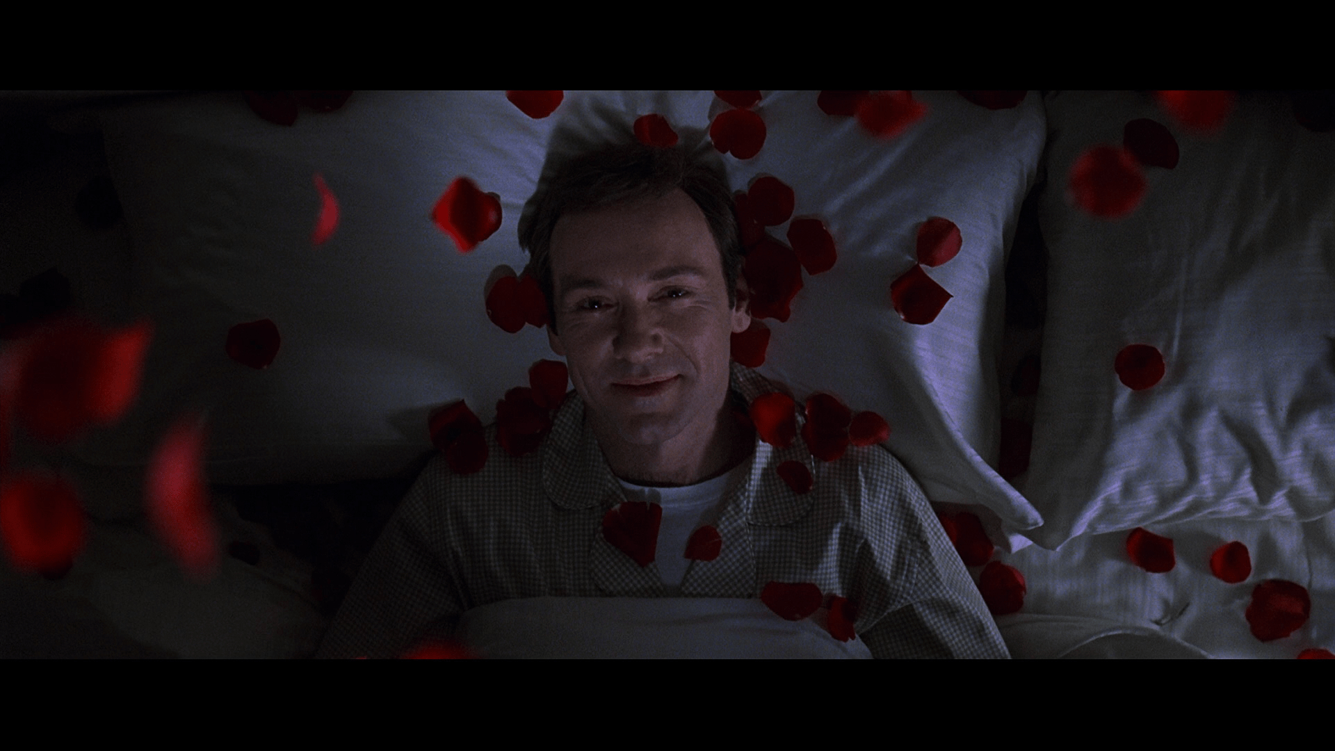 American Beauty, Kinovorstellung, Filmkunst, 1920x1080 Full HD Desktop