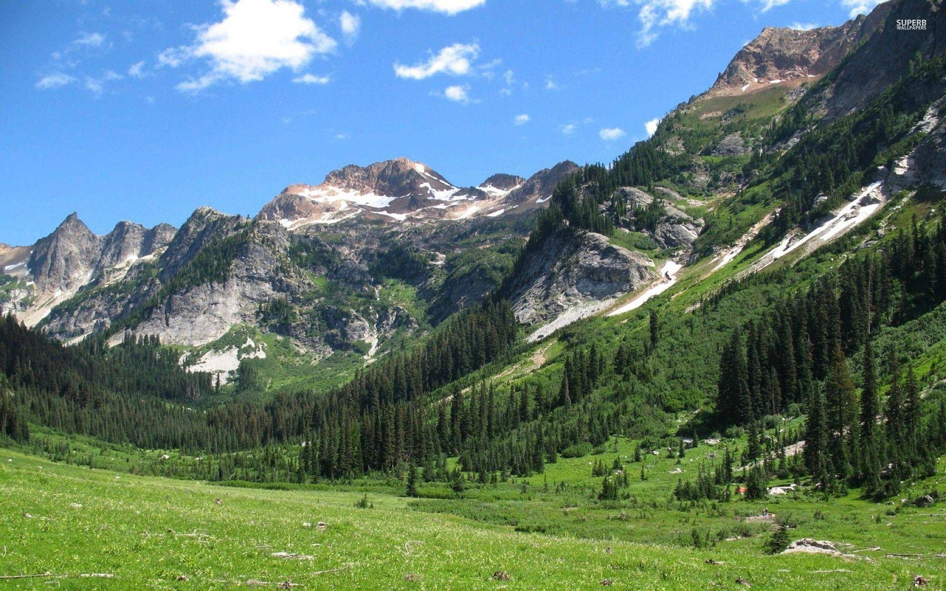 Spider Meadow, Washington State, Wandern, Natur, Fotografie, 1920x1200 HD Desktop