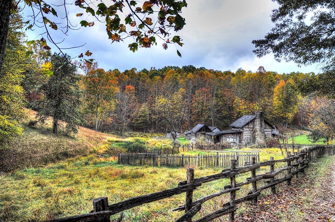 West Virginia, Herbst, Natur, Wald, USA, 1280x850 HD Desktop