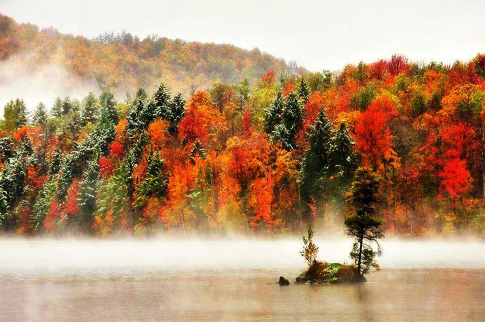 Wälder, Schnee, Nebel, Vermont, Fluss, 1600x1070 HD Desktop