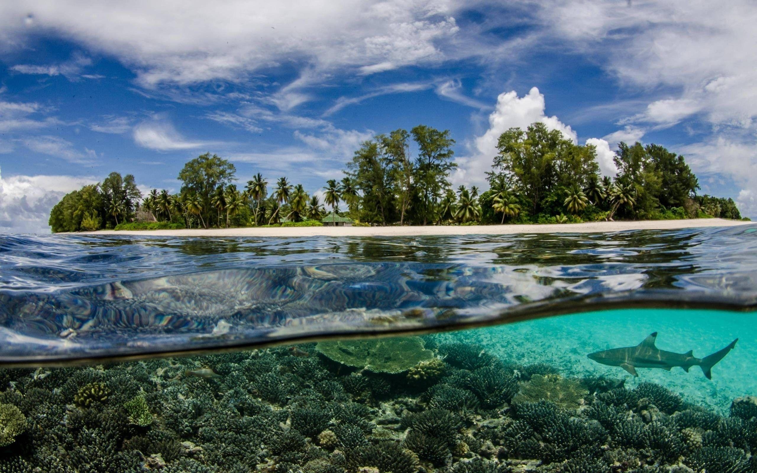 Meer, Seychellen, MacBook, Natur, Wasser, 2560x1600 HD Desktop